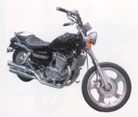 Stels ZED-250