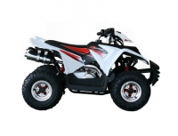 Stels ATV-50 Mini