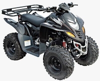 Stels ATV-110D