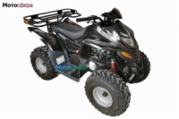 Stels Stels ATV-110 C