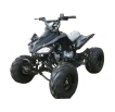 Irbis ATV 110 S