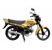 Orion 125 City