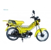 Orion 100