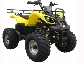 Irbis ATV 110 U