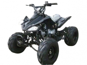 Irbis ATV 110 S