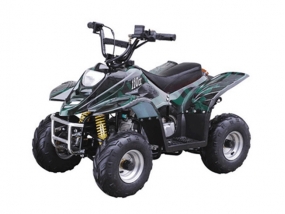 Avantis Termit Junior 110