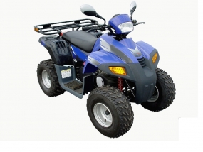 Stels ATV 110 Dinli (603) 