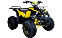 Квадроцикл Avantis ATV-050N-8+