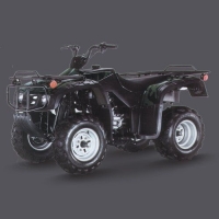 Квадроцикл Forsage ATV 250 Utility
