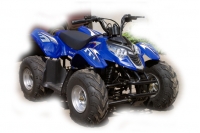 Квадроцикл GX Moto ATV 50