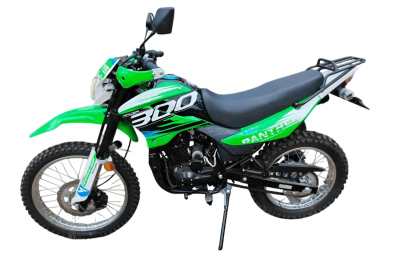 Racer RC300-GY8X Panther Green