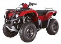 Квадроцикл Sym Quadraider 600 